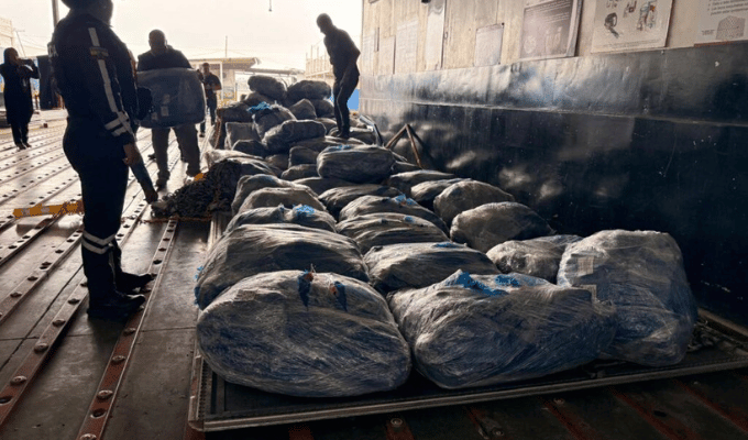 Caen 21 mil aletas de tiburón en aeropuerto de Guayaquil