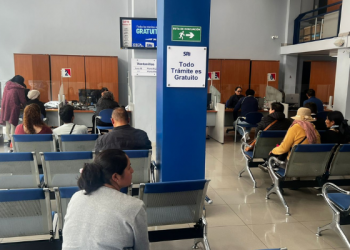 Nuevos servicios en línea SRI para contadores y representantes legales