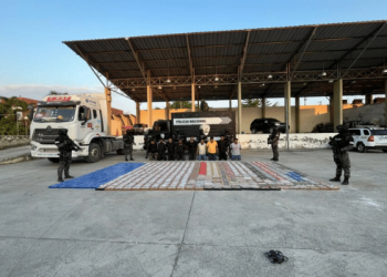 Operación Atenas destapa red narco en puerto de Guayaquil