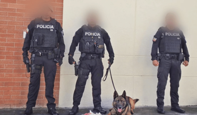 Encomienda iba rumbo a Australia con 8.330 dosis de droga escondidas