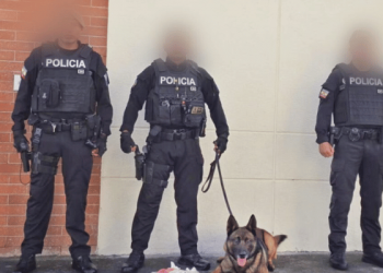 Encomienda iba rumbo a Australia con 8.330 dosis de droga escondidas