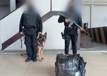 Cae encomienda con más de 11 mil dosis de cocaína en Manta