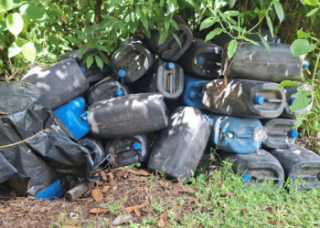 Operativo binacional golpea red narco ligada al envío de cocaína