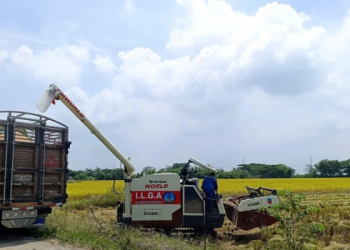 Compra directa de arroz en Ecuador empieza este 4 de mayo