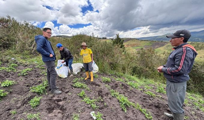Desde el páramo de Illahua Grande llega un empuje clave para el campo
