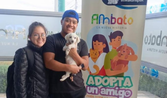 Municipio de Ambato impulsa rescates, adopciones y brigadas