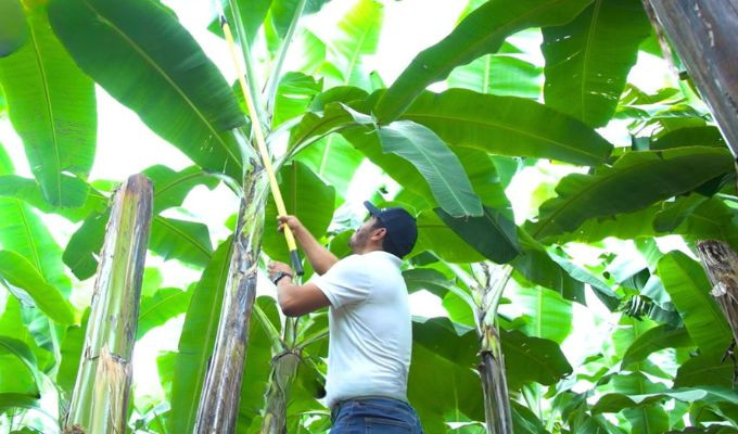 Innovación biológica y sostenibilidad toman fuerza en el futuro