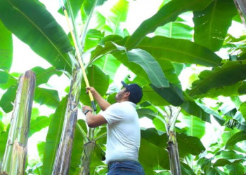 Innovación biológica y sostenibilidad toman fuerza en el futuro