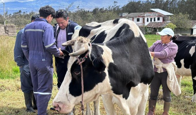 Manejo del páramo impulsa la producción y da alivio a familias