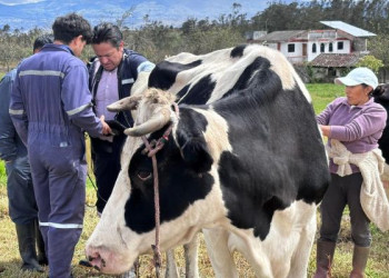 Manejo del páramo impulsa la producción y da alivio a familias