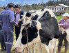 Manejo del páramo impulsa la producción y da alivio a familias