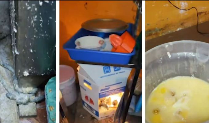 Heces, basura y harina en el piso: así estaba la panadería clausurada