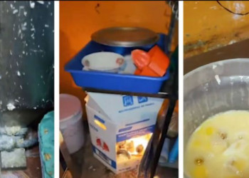 Heces, basura y harina en el piso: así estaba la panadería clausurada
