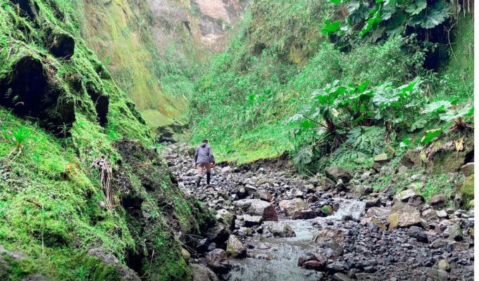 Baquerizo Moreno se abre paso como la joya natural
