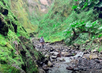 Baquerizo Moreno se abre paso como la joya natural
