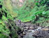Baquerizo Moreno se abre paso como la joya natural