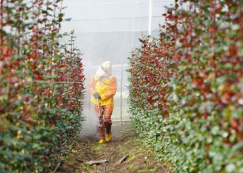 Seguridad en el agro ecuatoriano: 38 intoxicados en 2026