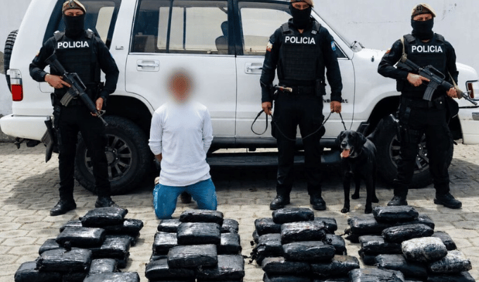 Cayó cargamento de marihuana escondido en un vehículo en Imbabura