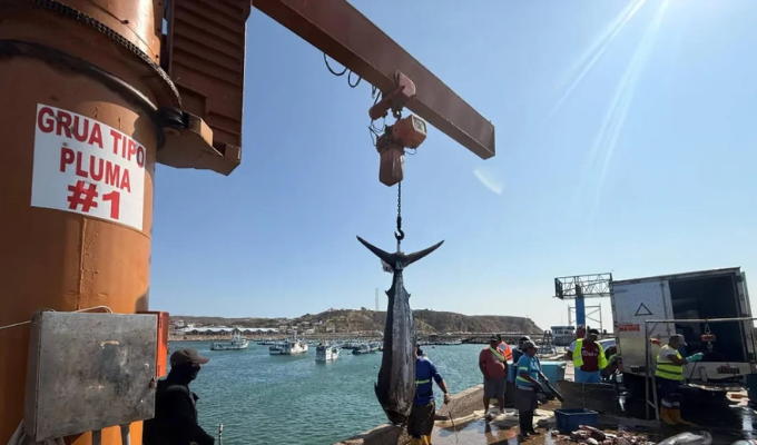 Gobierno suelta USD 10,5 millones para aliviar a la pesca industrial