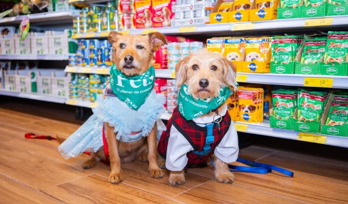 MaxiPets lanza Rescue Cup 2026 para ayudar al rescate animal