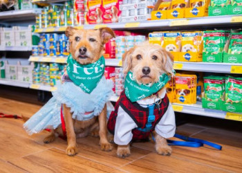 MaxiPets lanza Rescue Cup 2026 para ayudar al rescate animal