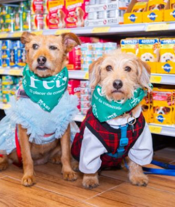 MaxiPets lanza Rescue Cup 2026 para ayudar al rescate animal