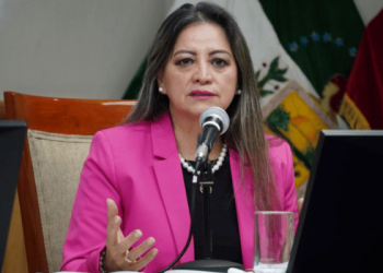 Elena Nájera niega pacto entre PSC y correísmo tras sacudón en el CNE