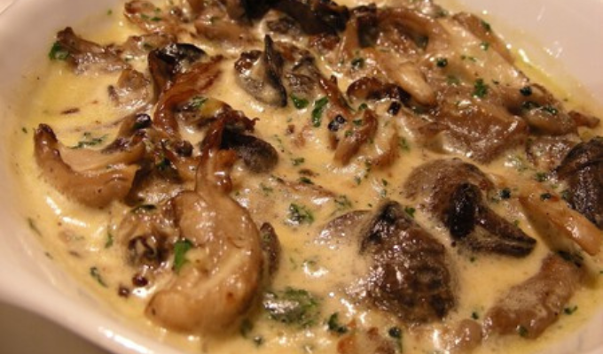 Hongos Mortales: Exsuegros y Cuñada Fallecen en Macabra Comida