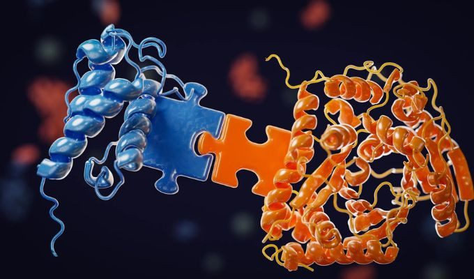 Descubren secreto de las bacterias al fabricar fármacos contra cáncer