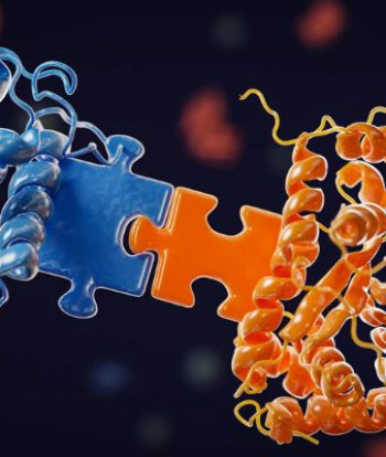Descubren secreto de las bacterias al fabricar fármacos contra cáncer