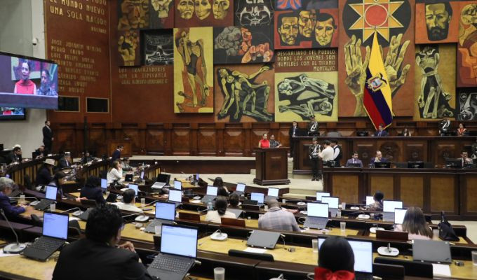 Asamblea aprueba reforma para acelerar adopciones en Ecuador