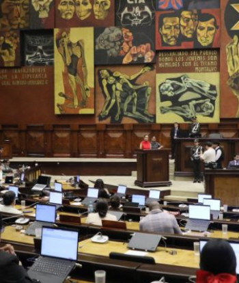 Asamblea aprueba reforma para acelerar adopciones en Ecuador