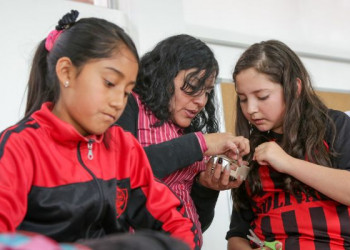 1.531 nuevos docentes para el inicio del año lectivo Sierra-Amazonía