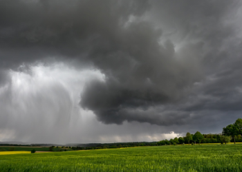 Lluvias intensas pueden golpear la cosecha si el campo no se prepara