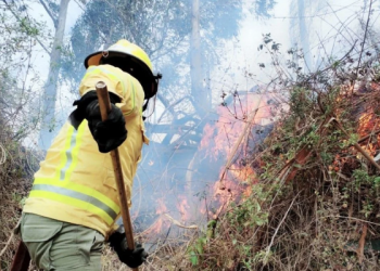 Ecuador supera los 1 300 incendios forestales