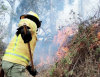 Ecuador supera los 1 300 incendios forestales