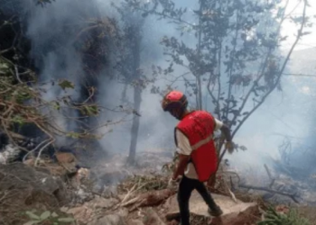 Hallan los siete cuerpos tras tragedia aérea en Kenia