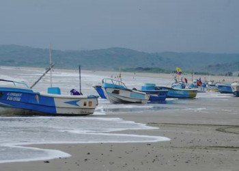 El Niño golpea al mar ecuatoriano: el atún bigeye podría bajar 50%