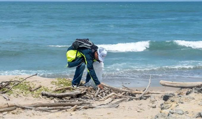 Más de 7.500 voluntarios limpian playas y cuerpos hídricos en Ecuador