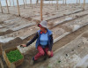 Gobierno de Daniel Noboa lleva 168,6 millones a pequeños productores