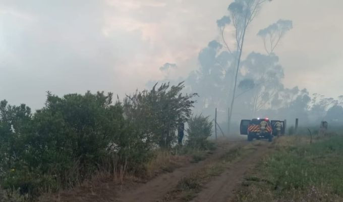Incendio forestal en Pelileo moviliza a bomberos y obliga a cerrar vía