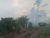 Incendio forestal en Pelileo moviliza a bomberos y obliga a cerrar vía