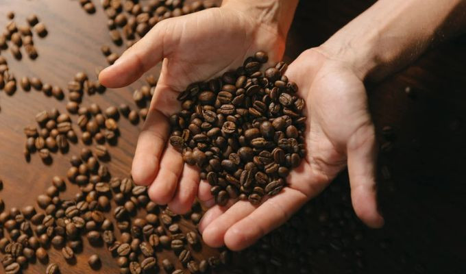 Asamblea declara a Loja como Capital del Café del Ecuador