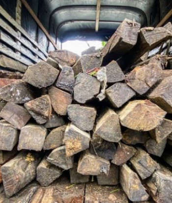 Retienen camión con 13,58 metros cúbicos de presunta madera ilegal