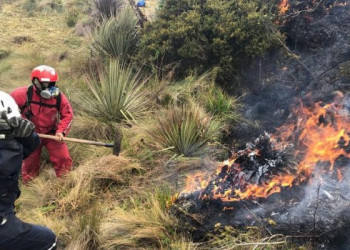 Incendio forestal moviliza a Bomberos, Policía y moradores en Pelileo