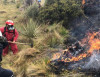 Incendio forestal moviliza a Bomberos, Policía y moradores en Pelileo