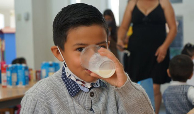 De 23,6% a 20,1%: ¡Ecuador celebra la baja en desnutrición infantil!