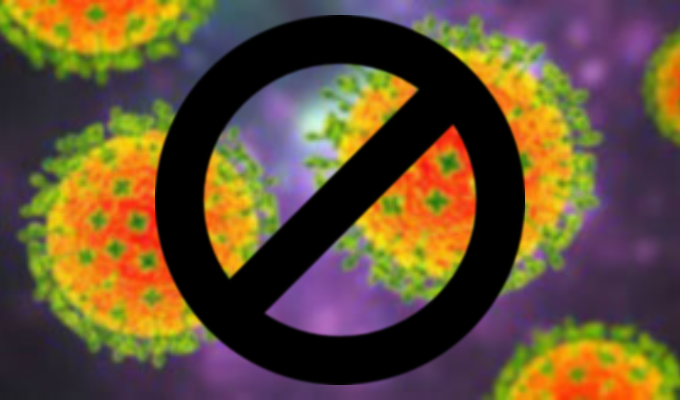 ¡Ecuador libre de Virus Nipah! ¿Estamos realmente a salvo?