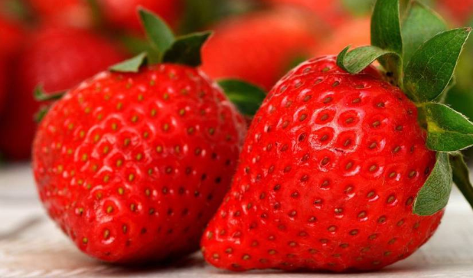¡Sorpresa! Los puntos en las fresas ¡NO son semillas!
