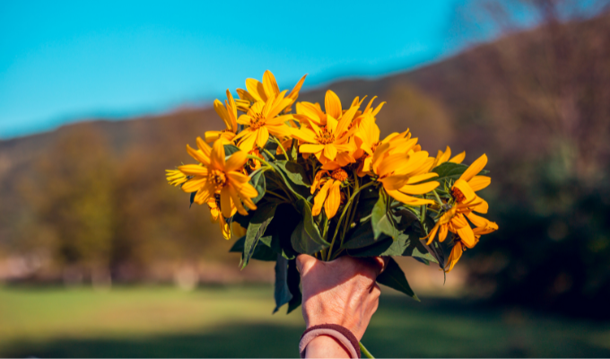 Las flores amarillas cobran protagonismo: amor, amistad y una historia